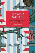 Beyond Nature