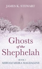 Ghosts of the Shephelah, Book 2