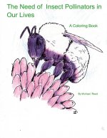 Need of Insect Pollinators for Our Lives