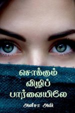 Sokkum Vili Paarvaiyiley / சொக்கும் விழிப் பார&#