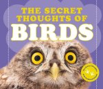 Secret Thoughts of Birds
