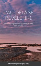 L'AU-DELA SE REVELE III-1 (couverture rigide)