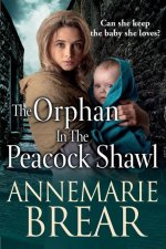 Orphan in the Peacock Shawl