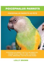 POICEPHALUS PARROTS: POICEPHALUS PARROTS