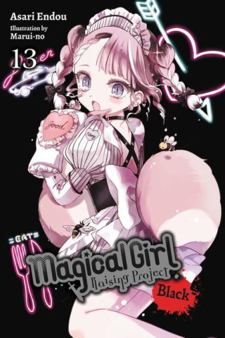 Magical Girl Raising Project, Vol. 13 (light novel)