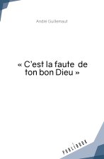 C'EST LA FAUTE DE TON BON DIEU