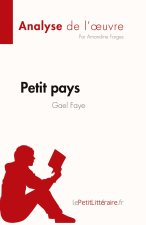 Petit pays de Gael Faye (Analyse de l'?uvre)