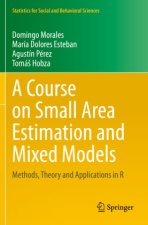 Course on Small Area Estimation and Mixed Models