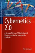 Cybernetics 2.0