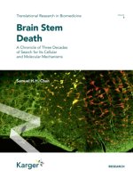 Brain Stem Death