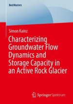 Characterizing Groundwater Flow Dynamics and Storage Capacity in an Active Rock Glacier