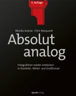 Absolut analog