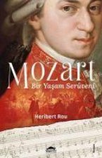 MozartBir Yasam Serüveni
