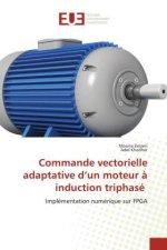 Commande vectorielle adaptative d'un moteur a induction triphase