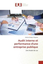 Audit interne et performance d'une entreprise publique