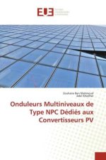 Onduleurs Multiniveaux de Type NPC Dedies aux Convertisseurs PV