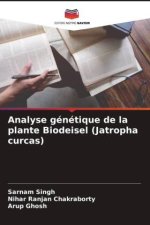 Analyse génétique de la plante Biodeisel (Jatropha curcas)