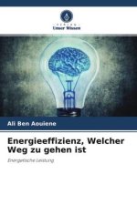 Energieeffizienz, Welcher Weg zu gehen ist
