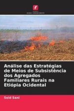 Análise das Estratégias de Meios de Subsist?ncia dos Agregados Familiares Rurais na Etiópia Ocidental