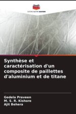 Synth?se et caractérisation d'un composite de paillettes d'aluminium et de titane