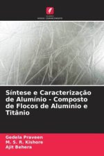 Síntese e Caracterizaç?o de Alumínio - Composto de Flocos de Alumínio e Titânio