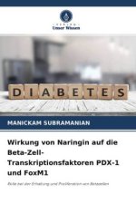 Wirkung von Naringin auf die Beta-Zell-Transkriptionsfaktoren PDX-1 und FoxM1