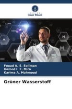 Grüner Wasserstoff