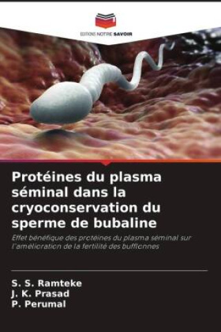 Protéines du plasma séminal dans la cryoconservation du sperme de bubaline