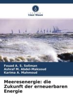 Meeresenergie: die Zukunft der erneuerbaren Energie