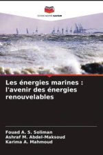 Les énergies marines : l'avenir des énergies renouvelables
