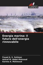 Energia marina: il futuro dell'energia rinnovabile