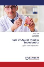 Role Of Apical Third In Endodontics
