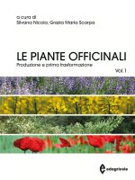 piante officinali