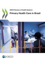 Primary Health Care in Brazil