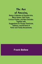 Art of Amusing; Being a Collection of Graceful Arts, Merry Games, Odd Tricks, Curious Puzzles, and New Charades. Together with Suggestions for Private