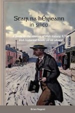 STAIR NA H IREANN IN SILICO: A GUIDE TO