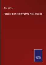 Notes on the Geometry of the Plane Triangle