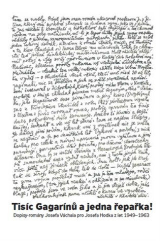 Tisďż˝c Gagarďż˝nďż˝ a jedna ďż˝epaďż˝ka!