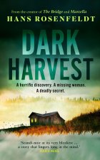 Hans Rosenfeldt Thriller 2
