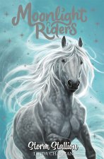 Moonlight Riders: Storm Stallion