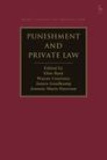 Punishment and Private Law