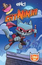 Cat Ninja Box Set: Books 1-3