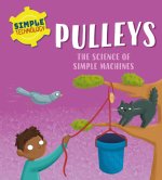 SIMPLE TECHNOLOGY PULLEYS