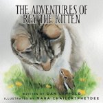 Adventures of Rey the Kitten