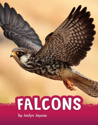 Falcons