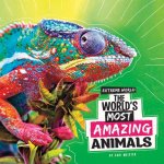 The World's Most Amazing Animals