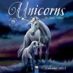 Unicorns by Anne Stokes Wall Calendar 2023 (Art Calendar)