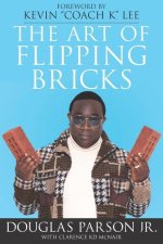 Art of Flipping Bricks