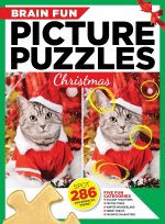 Brain Fun Picture Puzzles: Christmas