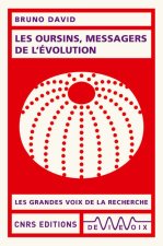 Les oursins, messagers de l'évolution